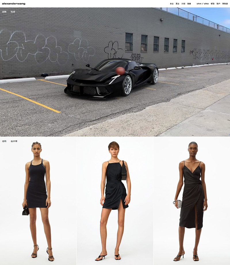 Alexander Wang 亚历山大·王品牌服饰官网