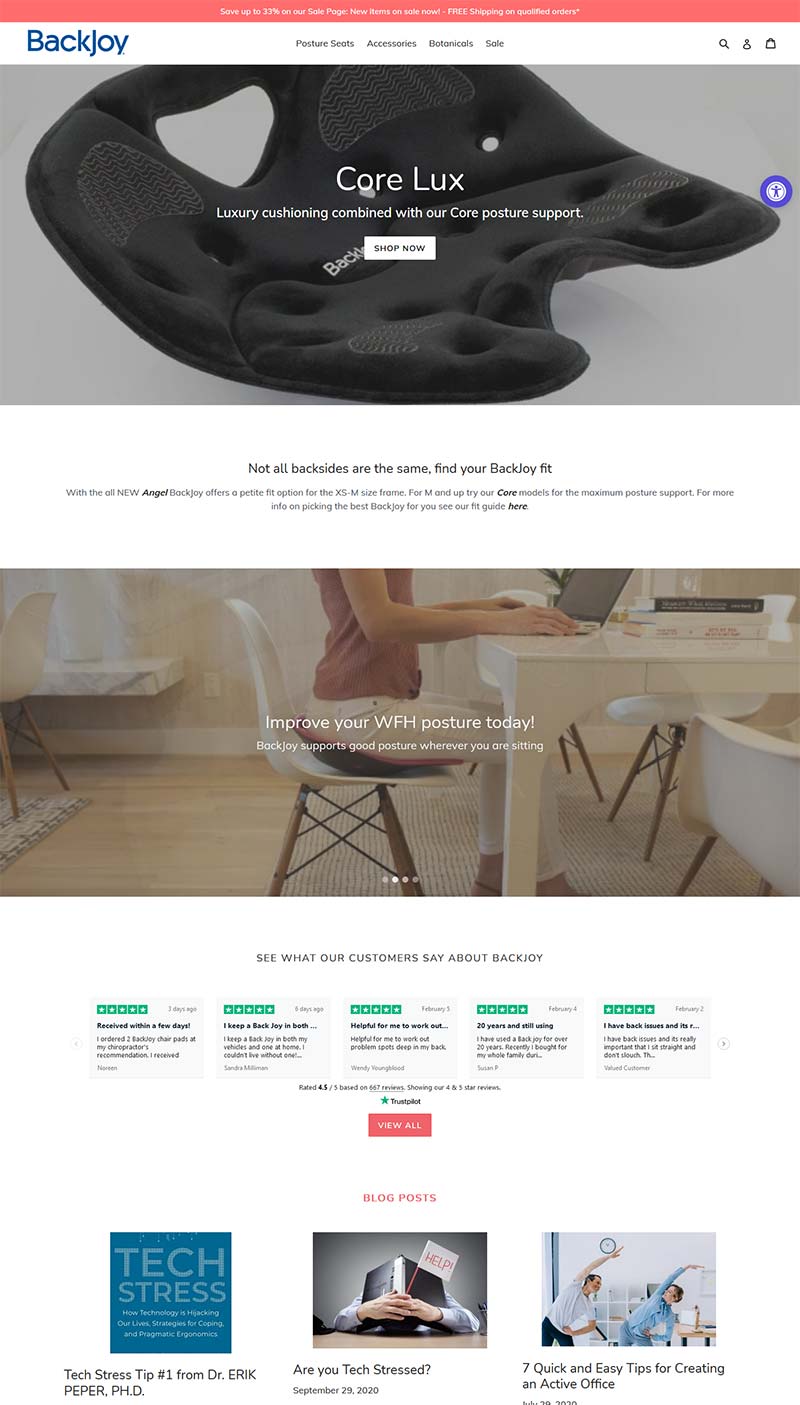 BackJoy EU 美国多功能姿势矫正设备荷兰网站