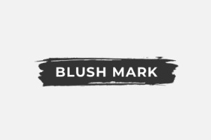 Blush Mark 美国时尚女性服饰购物网站