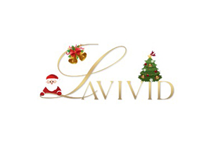 LaVivid 美国男士假发专营网站