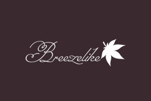 Breezelike 加拿大手工乌木梳购物网站