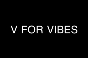 V For Vibes 美国成人情趣玩具购物网站