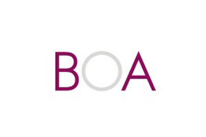 BOA Skincare 美国天然清洁护肤品购物网站