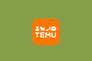 Temu 拼多多国际站