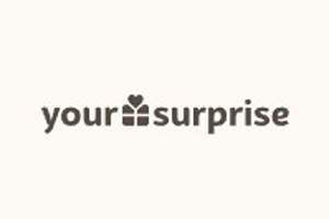 YourSurprise DE 德国时尚生活礼品订购网站