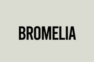 Bromelia Swimwear 美国时尚泳装品牌购物网站