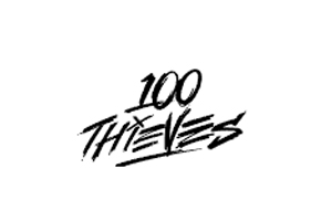 100 Thieves 美国游戏时尚联名服装购物网站