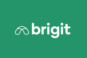 Brigit 美国专业理财APP官网