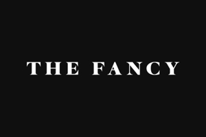 The Fancy 美国时尚生活产品购物网站