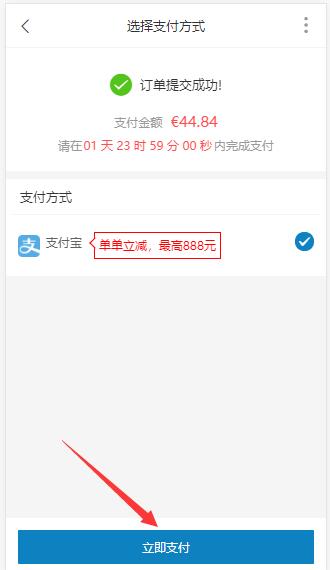 Pay for Order on Ba Bodyguard Online Shop