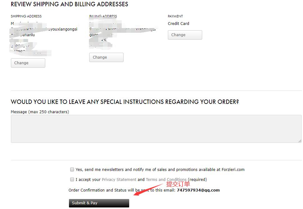 Forzieri Review and Submit Order