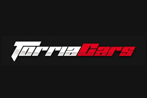 TorriaCars 捷克汽车修理设备购物网站