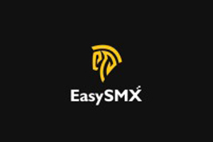 EasySMX 中国高端游戏设备品牌购物网站