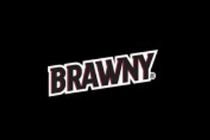 Brawny 美国厨房纸巾品牌购物网站