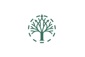 L'arbre du temps 法国木制腕表品牌购物网站