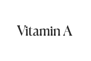 ​Vitamin A Swim 美国女性泳装品牌购物网站