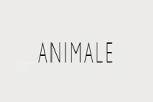 Animale 巴西时装品牌购物网站