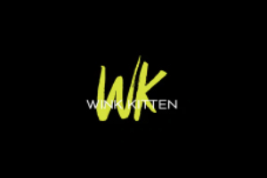 Wink Kitten 美国睫毛彩妆工具购物网站