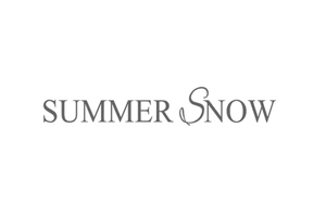 Summer Snow Art 美国手工插画装饰品购物网站