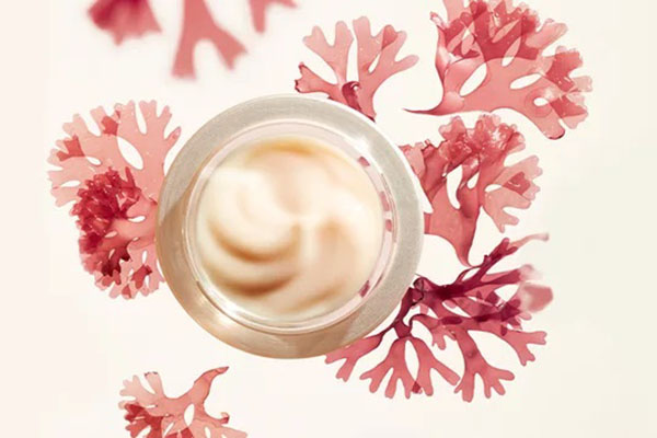 Shiseido 英国官网大促7折起+满赠好礼