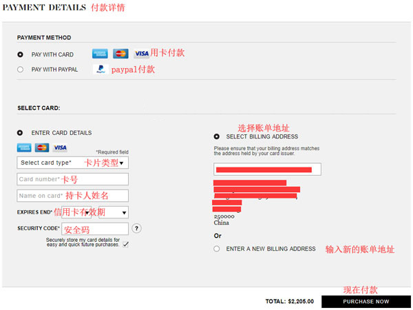 Review billing and make payment