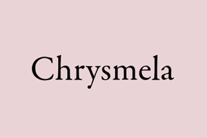 Chrysmela 美国女性耳环饰品购物网站