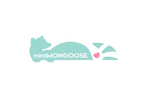MintMONGOOSE 美国珠宝饰品订阅网站