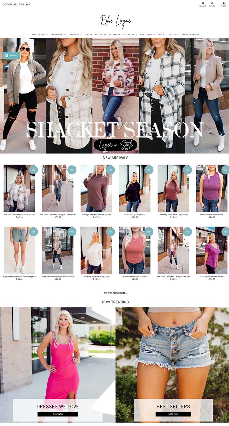 Blue Layne Boutique 美国平价女装配饰购物网站