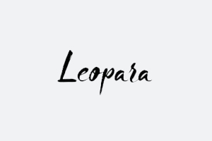 The Leopara Group 美国化妆师便捷照明设备购物网站