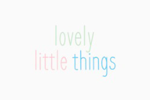 Lovely Little Things Boutique 美国童装礼品购物网站