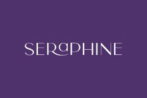 Seraphine 美国时尚孕妇装品牌购物网站