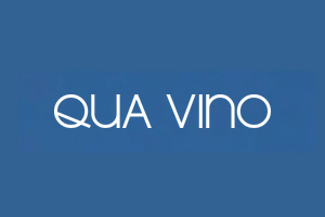 QUA VINO 韩国当代泳装品牌品牌购物网站