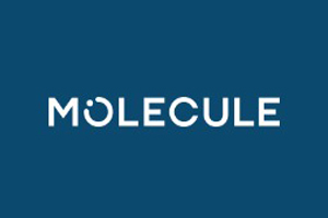 MOLECULE 美国睡眠床垫品牌购物网站