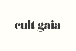 Cult Gaia 美国高端设计师服装购物网站