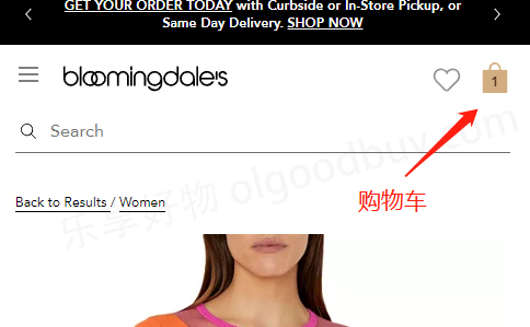 Bloomingdale's US official website shopping cart order